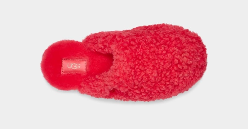 Pink Ugg Maxi Curly Women's Slides | Saudi Arabia-9152786