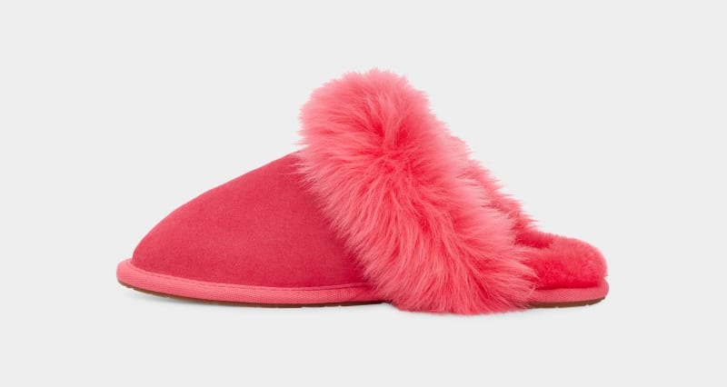 Pink Ugg Scuff Sis Women's Slippers | Saudi Arabia-3704258