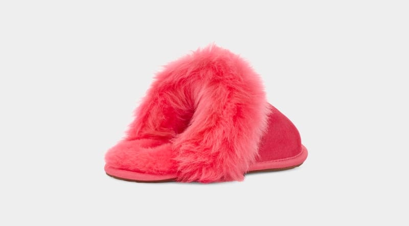 Pink Ugg Scuff Sis Women's Slippers | Saudi Arabia-3704258