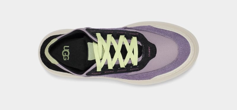 Purple Ugg Marin Mega Lace Women's Sneakers | Saudi Arabia-4029785